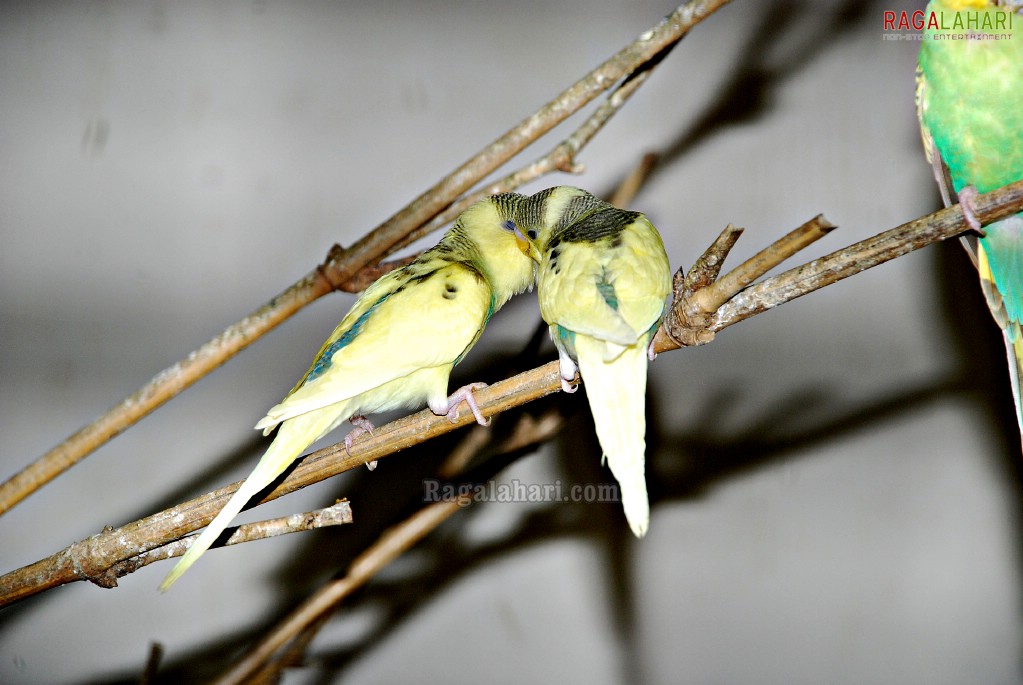 Bannerghatta National Park, Bangalore