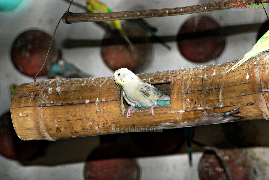 Bannerghatta National Park, Bangalore