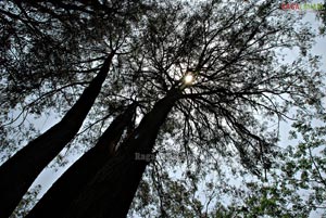 Bannerghatta National Park, Bangalore