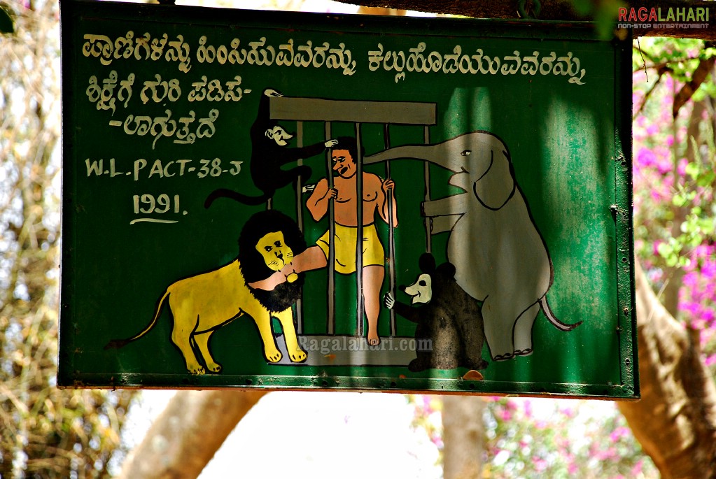 Bannerghatta National Park, Bangalore