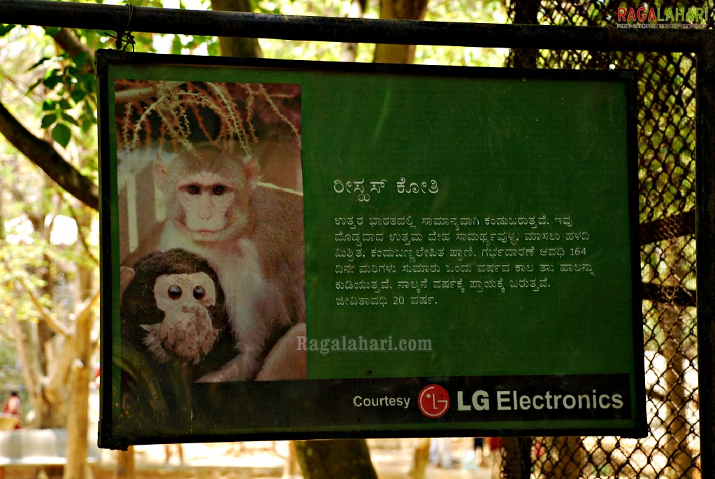 Bannerghatta National Park, Bangalore