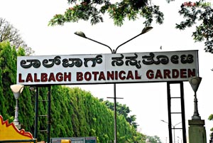 Lalbagh Botanical Garden, Bangalore