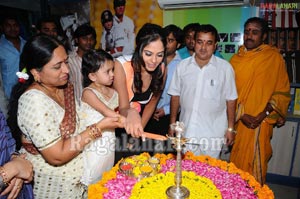 Bindu Madhavi Launches Aerofitness