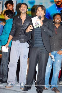 Darling Audio Release