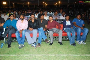 Darling Audio Release