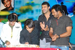 Darling Audio Release