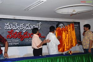 Nuvvekkadunte Nenakkadunta Logo Launch