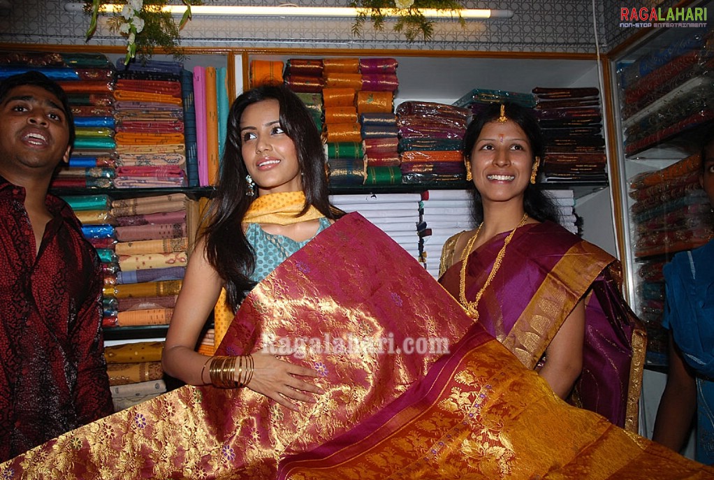 Priya Anand inagurates Prodduturi Silks Showroom at Krishna Nagar