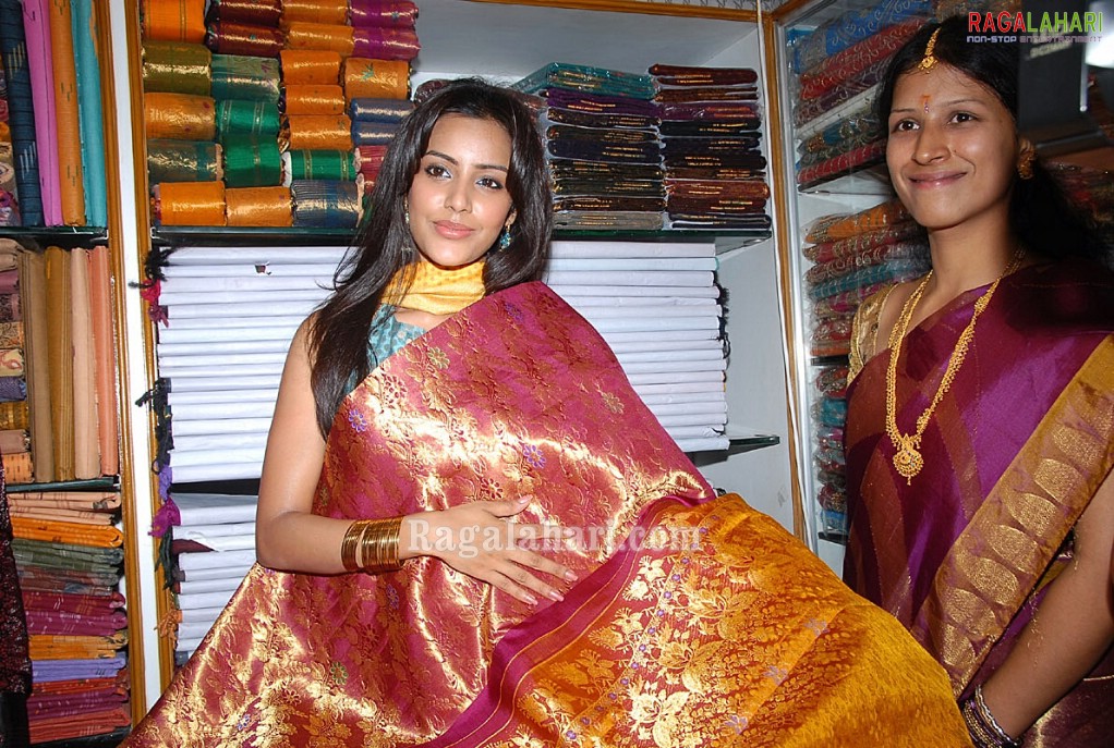 Priya Anand inagurates Prodduturi Silks Showroom at Krishna Nagar