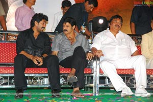 Simha Audio Success Meet