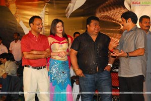 Simha Audio Success Meet