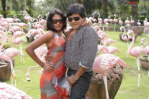 Aryan Rajesh, Aishwarya