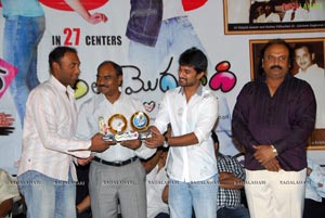 Ala Modalaindi 100days Function