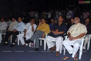 Ala Modalaindi 100days Function