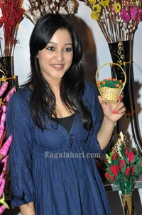 Ritu Barmecha at Cotton and Silk Park exhibition launch