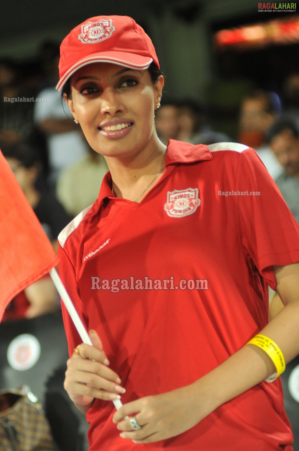 IPL4 Deccan Chargers Vs. Kings XI Punjab Cricket Match at Uppal Stadium