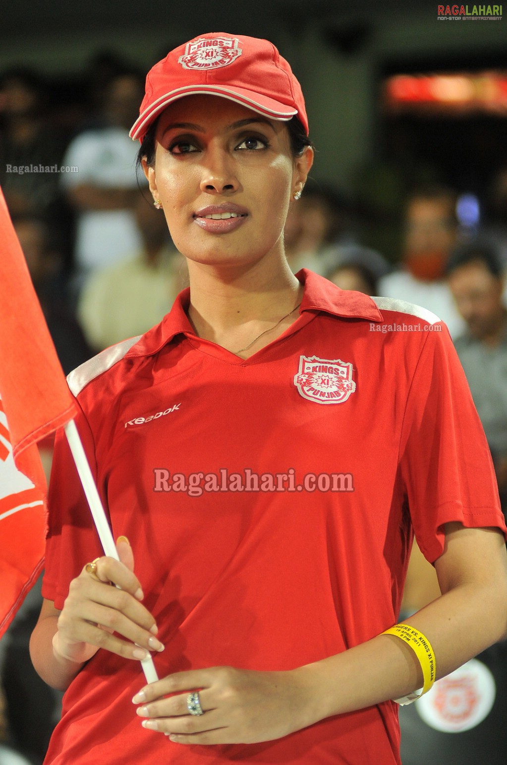 IPL4 Deccan Chargers Vs. Kings XI Punjab Cricket Match at Uppal Stadium