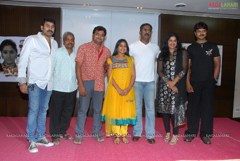 Zee Telugu TV Serial Kotha Bangaram Completes 300 Episodes