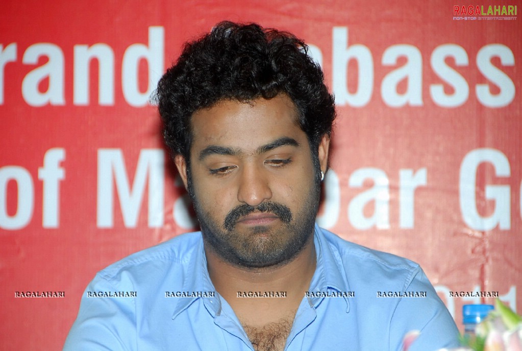 NTR as Malabar Gold Brand Ambassador Announcement