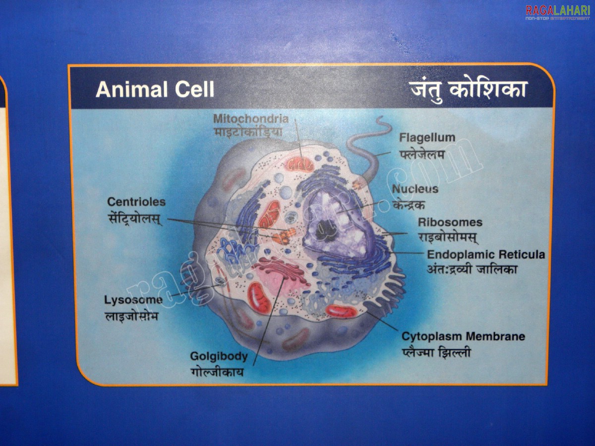 Science Express - Unique Science Exhibition on Indian Rail Tracks