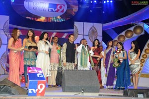 TSR-TV9 FIlm Awards 2010