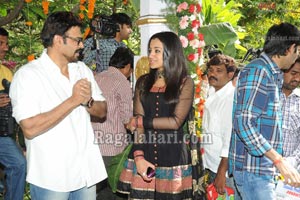 Venkatesh-Trisha Film Muhurat