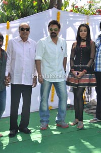 Venkatesh-Trisha Film Muhurat