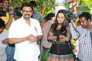 Venkatesh-Trisha Film Muhurat