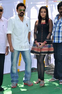 Venkatesh-Trisha Film Muhurat