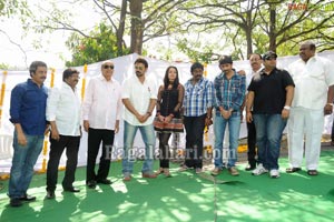 Venkatesh-Trisha Film Muhurat