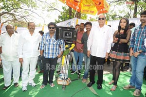 Venkatesh-Trisha Film Muhurat