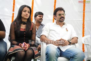 Venkatesh-Trisha Film Muhurat