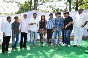 Venkatesh-Trisha Film Muhurat