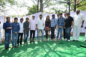 Venkatesh-Trisha Film Muhurat