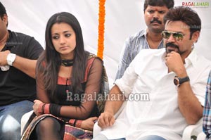 Venkatesh-Trisha Film Muhurat