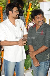 Venkatesh-Trisha Film Muhurat