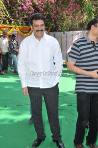 Venkatesh-Trisha Film Muhurat