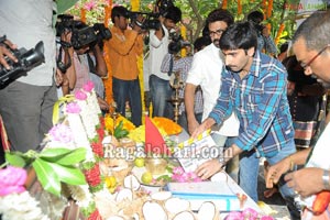 Venkatesh-Trisha Film Muhurat