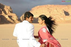 Puneeth Rajkumar, Parvathi Menon