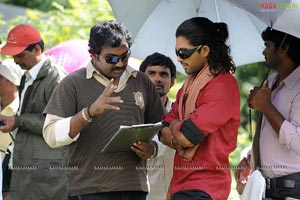 Badrinath Working Stills