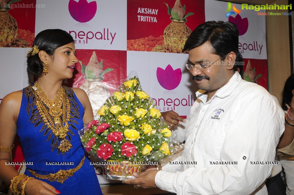 Manepally Jewellers Designer Jewellery Collection Launch