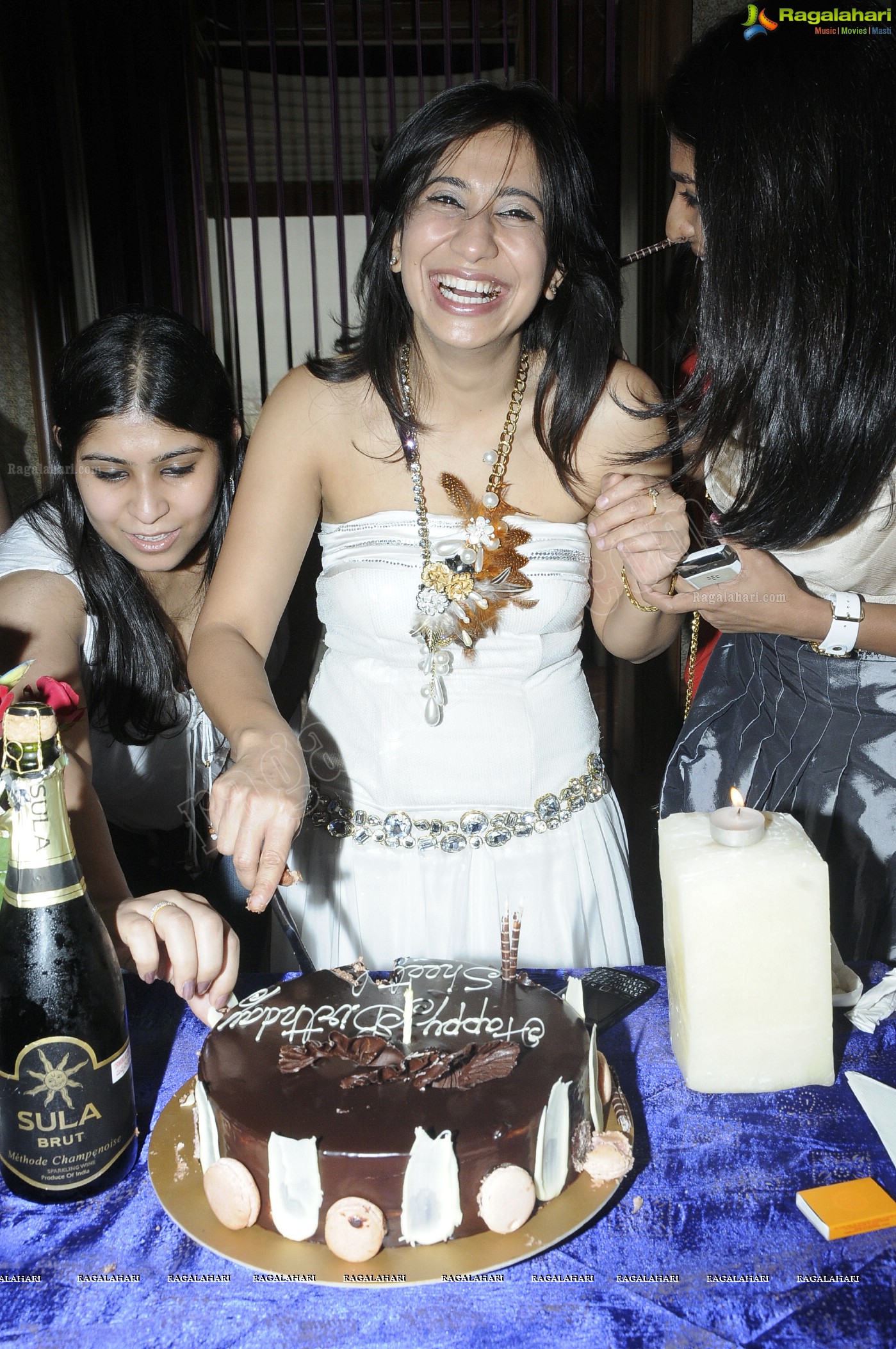 Sheetal's Birthday Bash