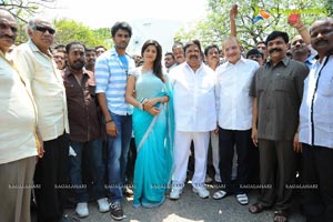 Shiva-Shraddha Das Film Muhurat