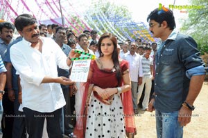 Srikanth-Aksha Film Muhurat