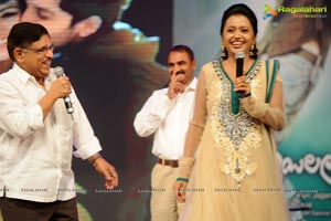 Iddarammayilatho Music Launch