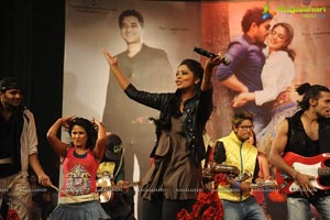 Iddarammayilatho Music Launch