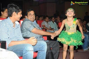 Iddarammayilatho Music Launch