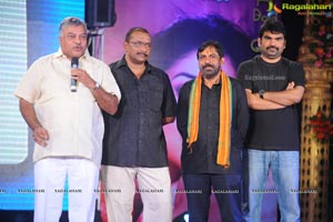 Pavithra Audio Release