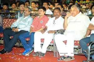 Pavithra Audio Release