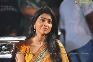 Pavithra Audio Release